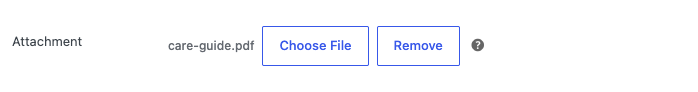 The Attachment field with care-guide.pdf selected, and the Choose File and Remove buttons